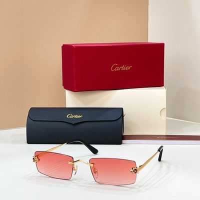 Cartier Sunglasses — 3