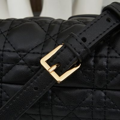 Dior Bag — 7
