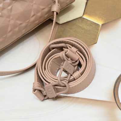 Dior Bag — 5