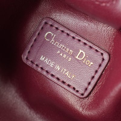 Dior Bag — 9