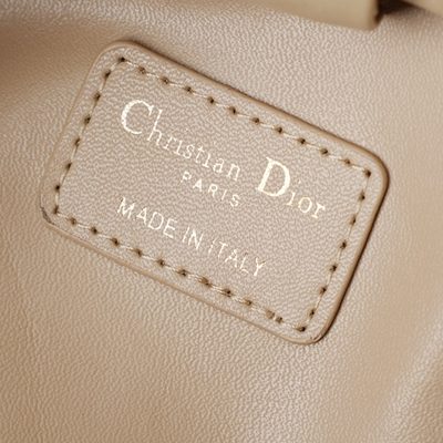 Dior Bag — 9