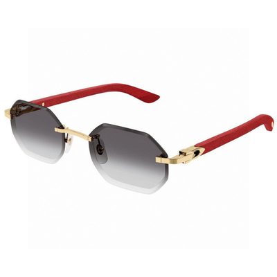 Cartier Sunglasses — 4