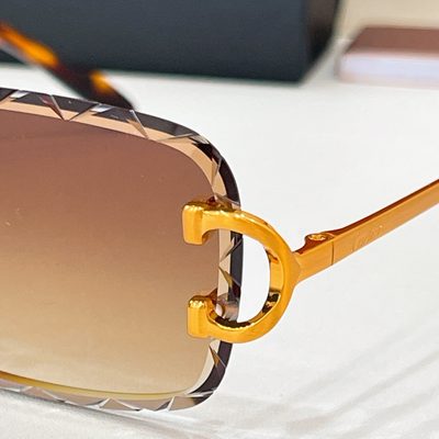 Cartier Sunglasses — 7