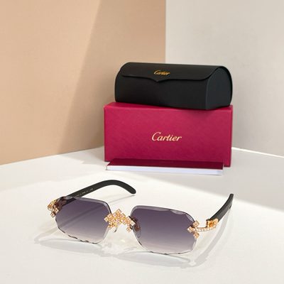 Cartier Sunglasses — 8