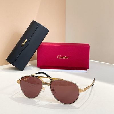 Cartier Sunglasses — 8