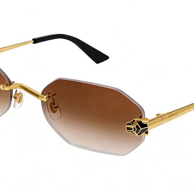Cartier Sunglasses — 7