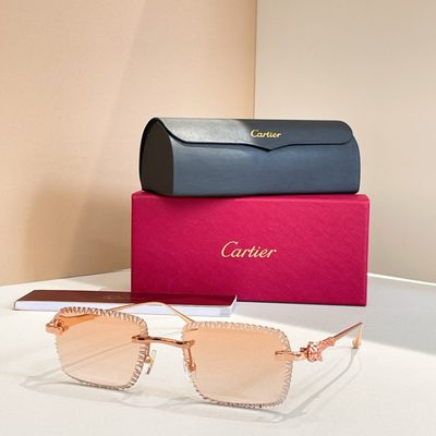 Cartier Sunglasses — 3