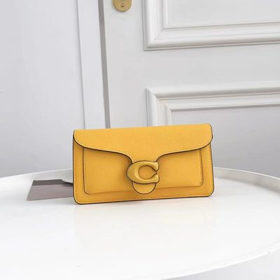 Coach Bag — 19