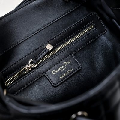 Dior Bag — 9