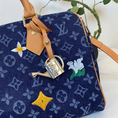 Louis Vuitton Bag — 4