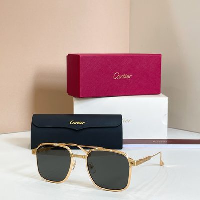 Cartier Sunglasses — 5