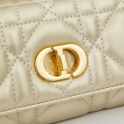 Dior Bag — 5