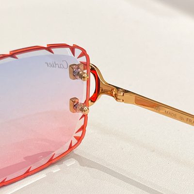 Cartier Sunglasses — 4