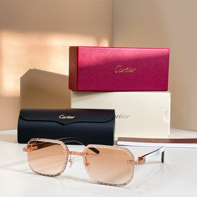 Cartier Sunglasses — 5