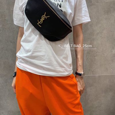 YSL Bag — 4