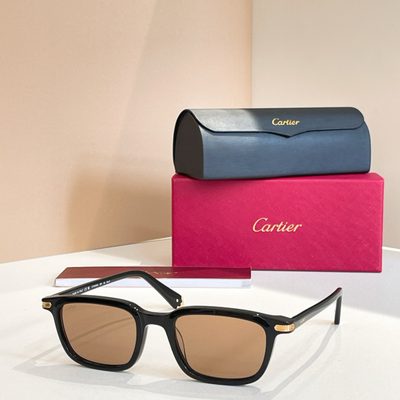 Cartier Sunglasses — 5