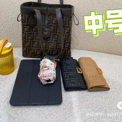 Fendi Bag — 6