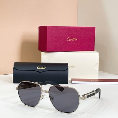 Cartier sunglasses — 5