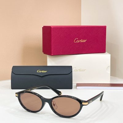 Cartier Sunglasses — 8