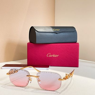 Cartier Sunglasses — 6
