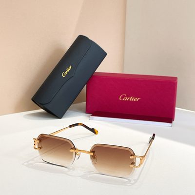 Cartier Sunglasses — 7