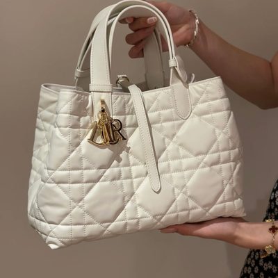 Dior Bag — 5