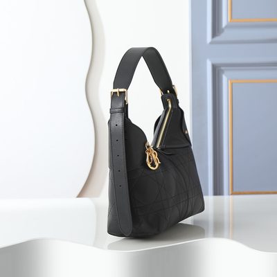 Dior Bag — 3