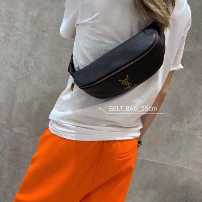 YSL Bag — 5