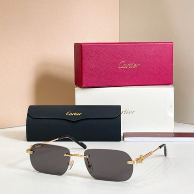 Cartier Sunglasses — 6