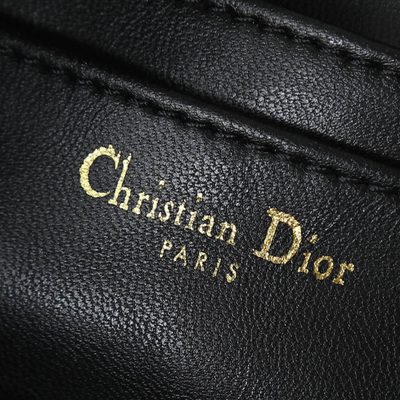 Dior Bag — 9