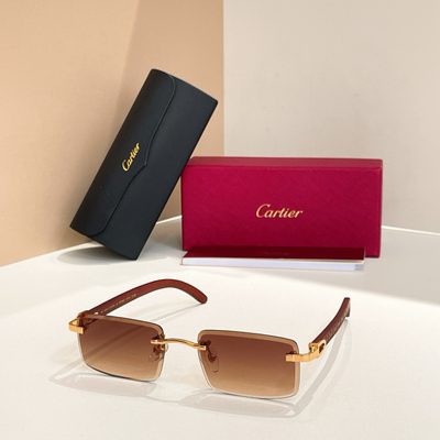 Cartier Sunglasses — 4