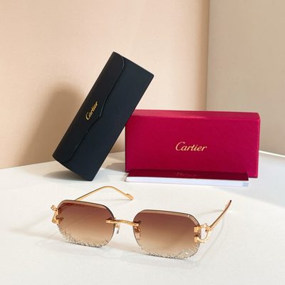 Cartier Sunglasses — 7