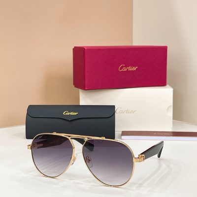 Cartier Sunglasses — 6