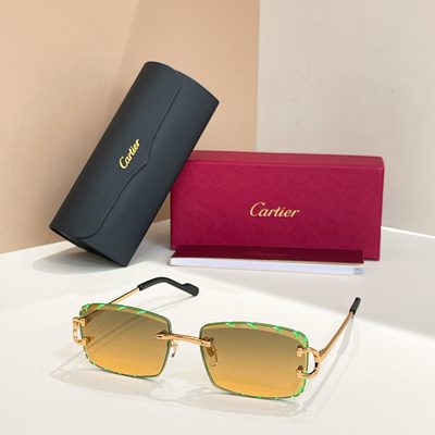 Cartier Sunglasses — 6
