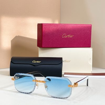Cartier Sunglasses — 3