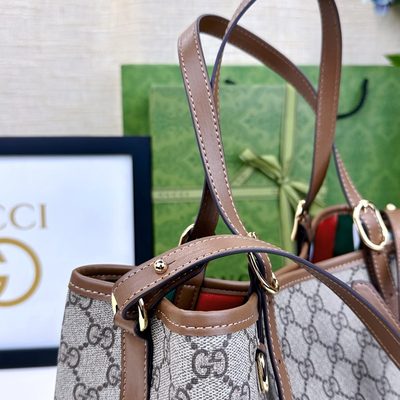 Gucci Bag — 6