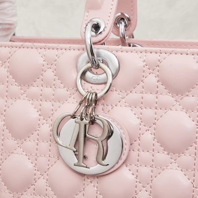 Dior Bag — 5