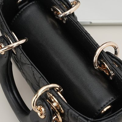 Dior Bag — 6