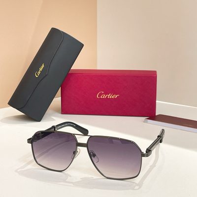 Cartier Sunglasses — 7