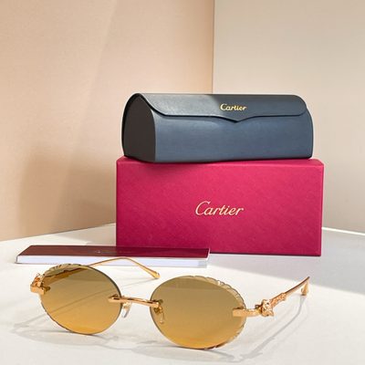 Cartier Sunglasses — 5