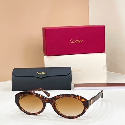 Cartier Sunglasses — 4