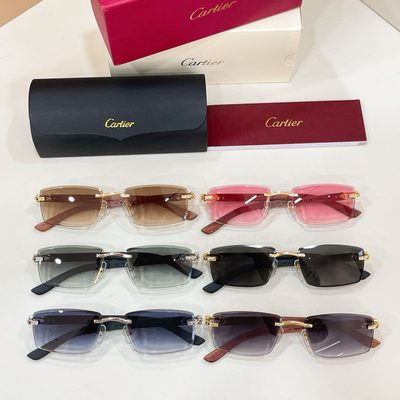 Cartier Sunglasses — 8