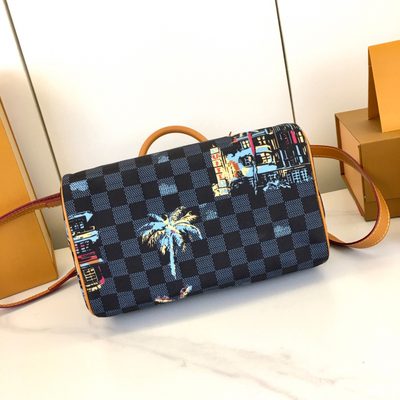 Louis Vuitton Bag — 6
