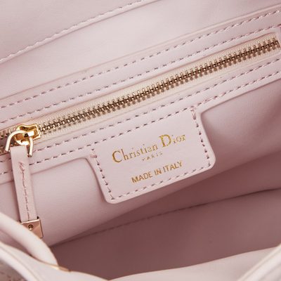Dior Bag — 8