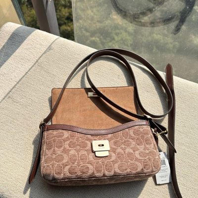 Coach Bag — 7