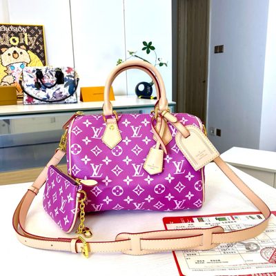 Louis Vuitton Bag
