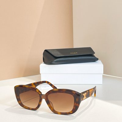 Celine Sunglasses — 5