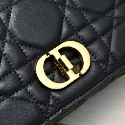 Dior Bag — 9