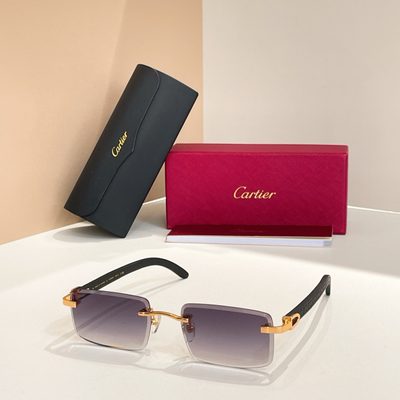 Cartier Sunglasses — 3