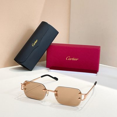 Cartier Sunglasses — 4